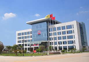 江苏尊龙官方网站化学有限公司 土壤污染隐患排查报告及自行监测方案