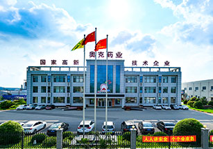 辽宁尊龙官方网站药业股份有限公司